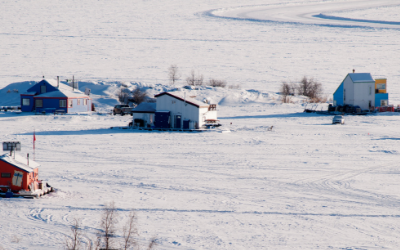 image for Remote Communities and Veterinary Care